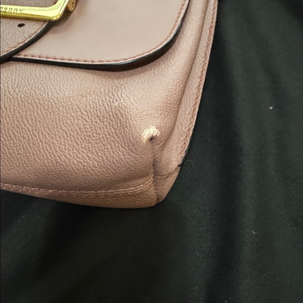 Burberry Dusty Pink Leather Crossbody Bag Gold Hardware - Picture 11 of 15
